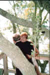 Scan67.JPG (78401 bytes)